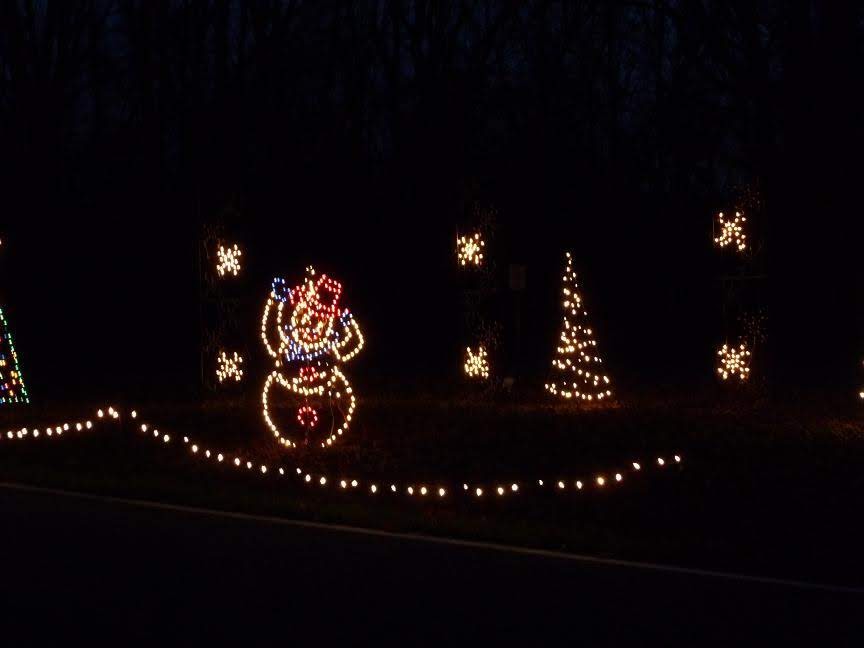 Holiday In Lights